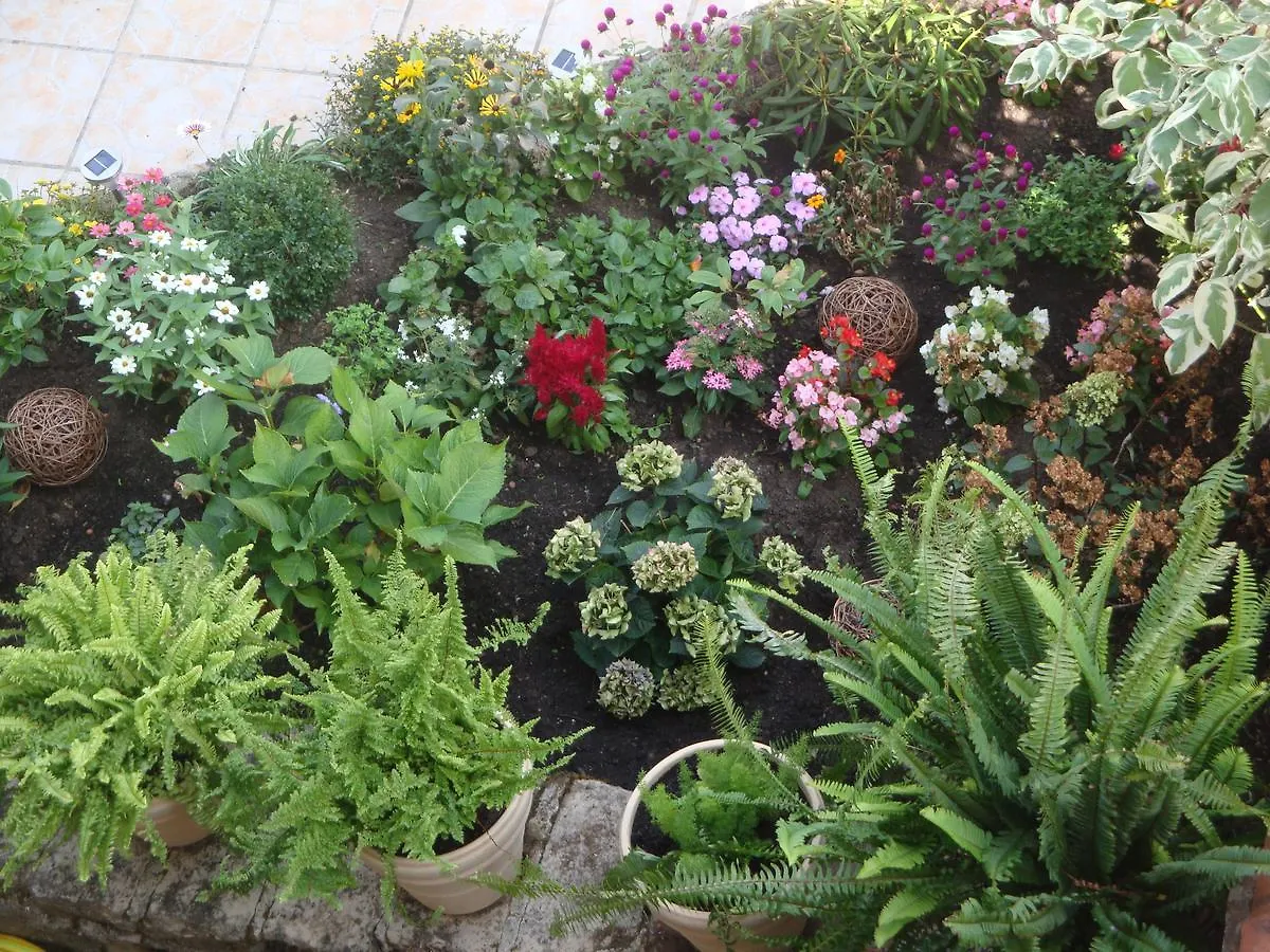 Bed and Breakfast D'Ici Et D'Ailleurs Cordes-sur-Ciel 3*,  Francia